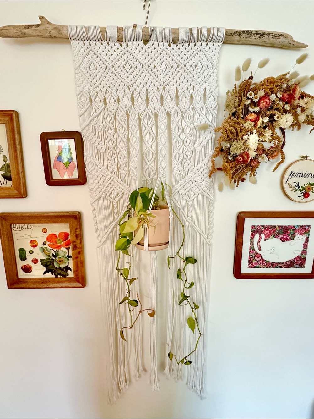 Hand Crafted Cream Macramé Hanging Plant Holder - Picture 1 of 5